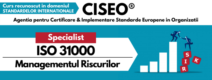 specialist iso 31000